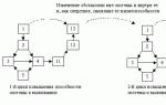 Caracteristicile adaptative ale organismelor vii