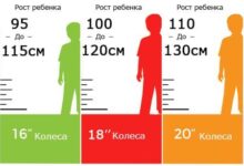 Photo of Выбор правильного размера колес для детских велосипедов
